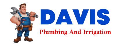 Trusted plumber in RUBY VALLEY